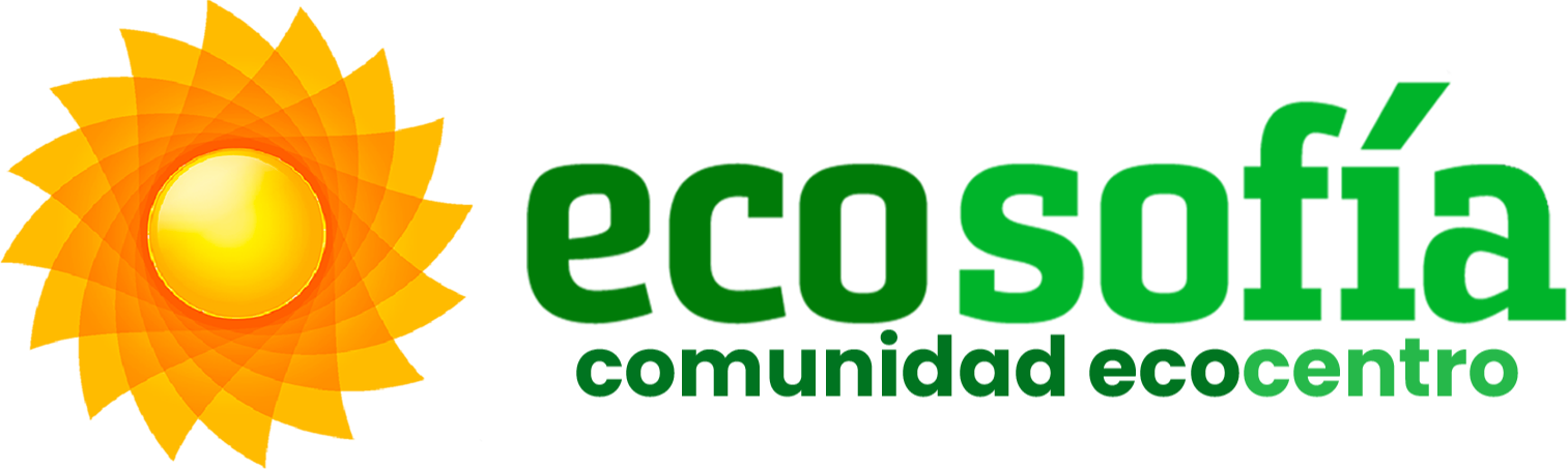 logo de website